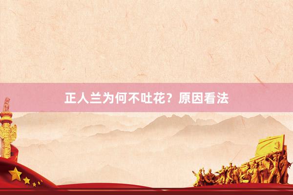 正人兰为何不吐花?原因看法