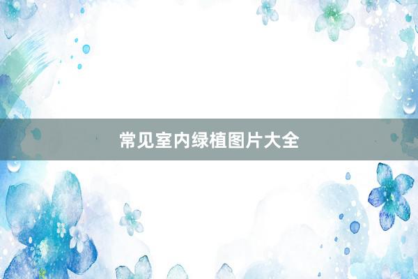 常见室内绿植图片大全