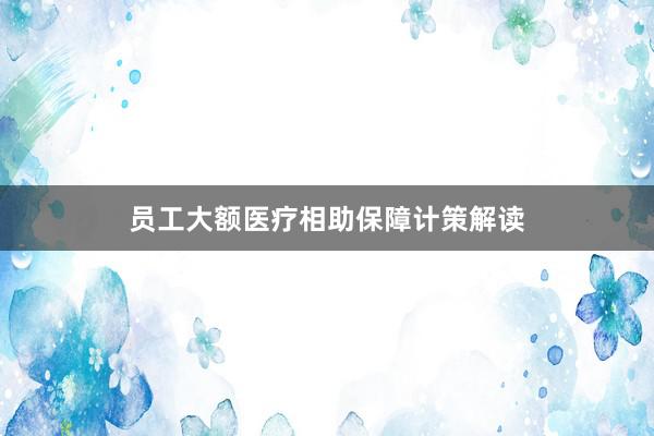 员工大额医疗相助保障计策解读