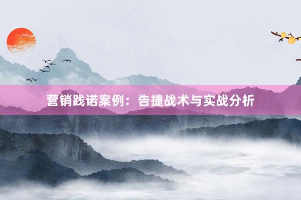 营销践诺案例：告捷战术与实战分析
